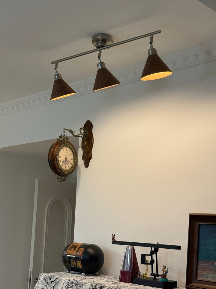 Axiom Directional Ceiling Lamp - Vakkerlight