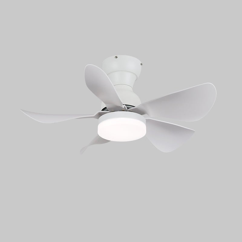 Small Arilia 29" Ceiling Fan Light - Vakkerlight