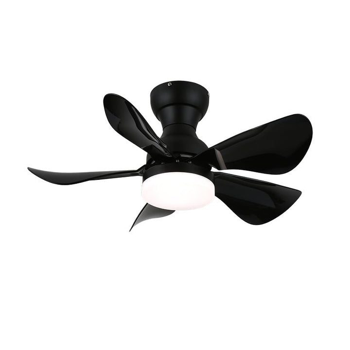 Small Arilia 29" Ceiling Fan Light - Vakkerlight