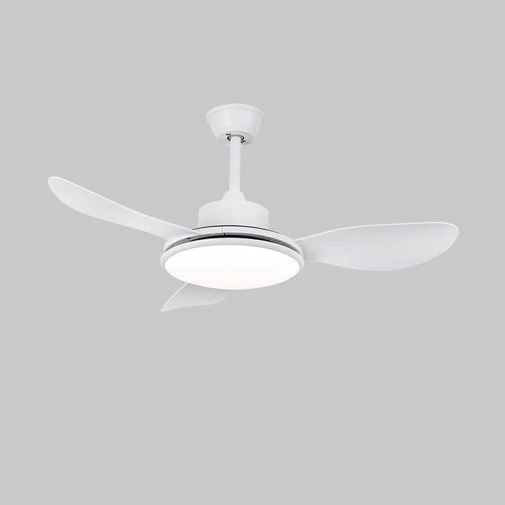 Brinley 48"/52" Ceiling Fan Light - Vakkerlight