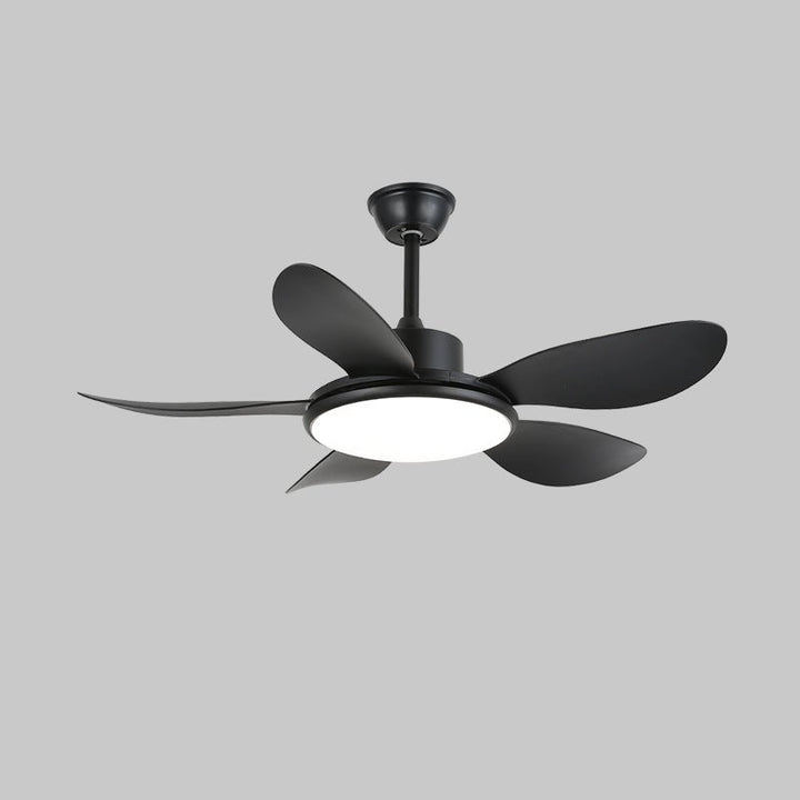 Brinley 48"/52" Ceiling Fan Light - Vakkerlight