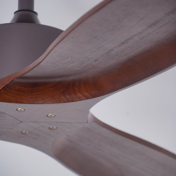 Caesar Kissel 52" Ceiling Fan