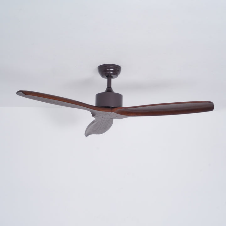 Caesar Kissel 52" Ceiling Fan