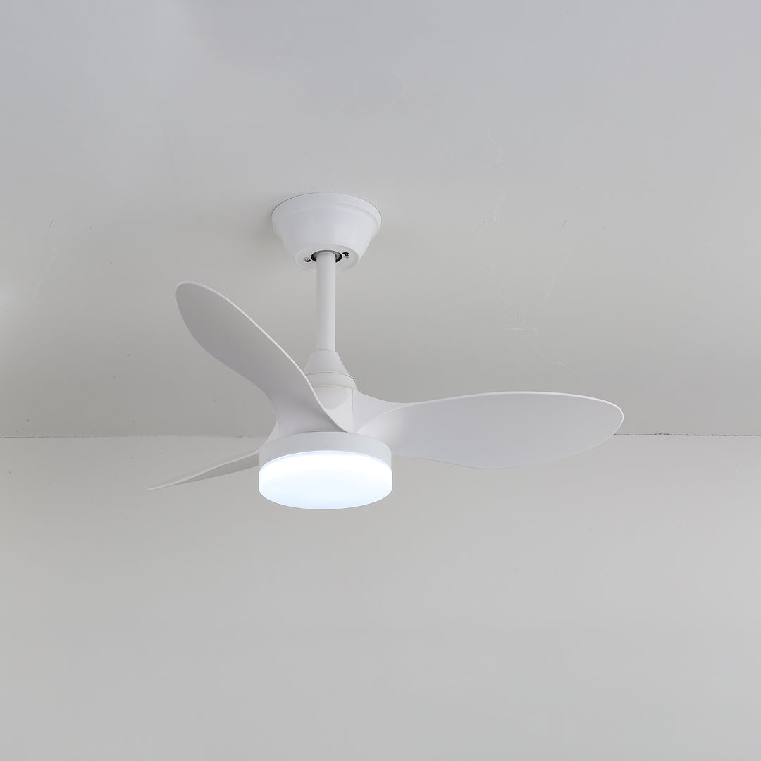 Callum Ceiling Fan Light - Vakkerlight