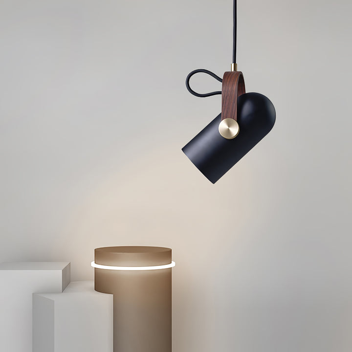 Carronade Pendant Swag Light - Vakkerlight