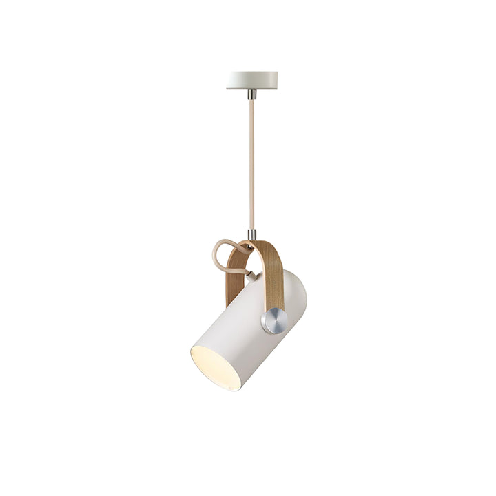 Carronade Pendant Swag Light - Vakkerlight