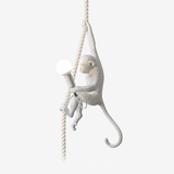 Suspension Singe
