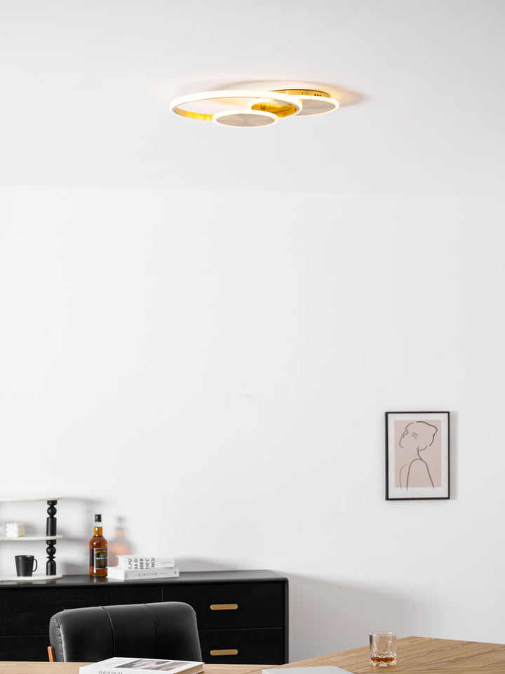 دوائر ضوء السقف LED