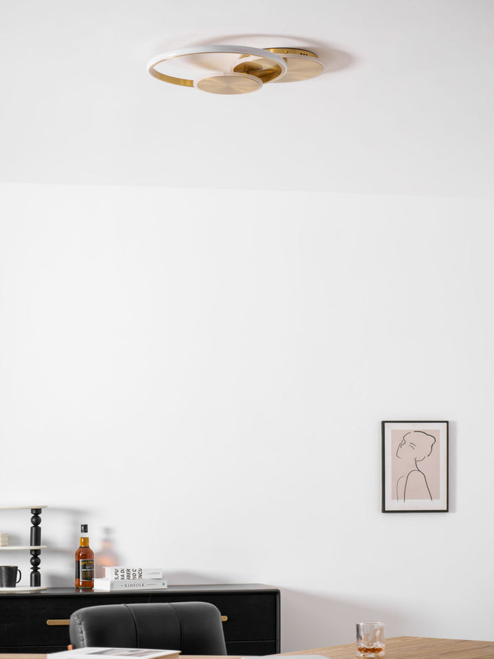 دوائر ضوء السقف LED