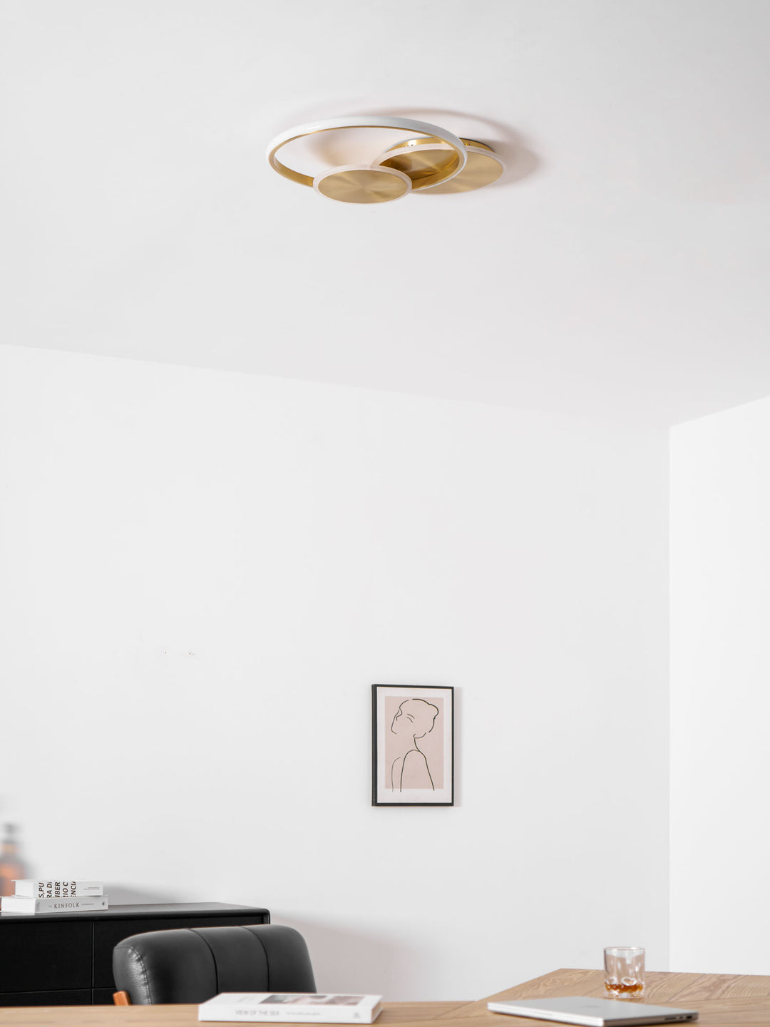 دوائر ضوء السقف LED