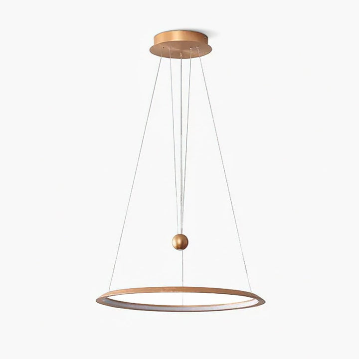 Circular LED Chandelier - Vakkerlight