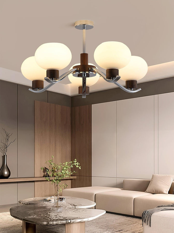 Colome Chandelier - Vakkerlight