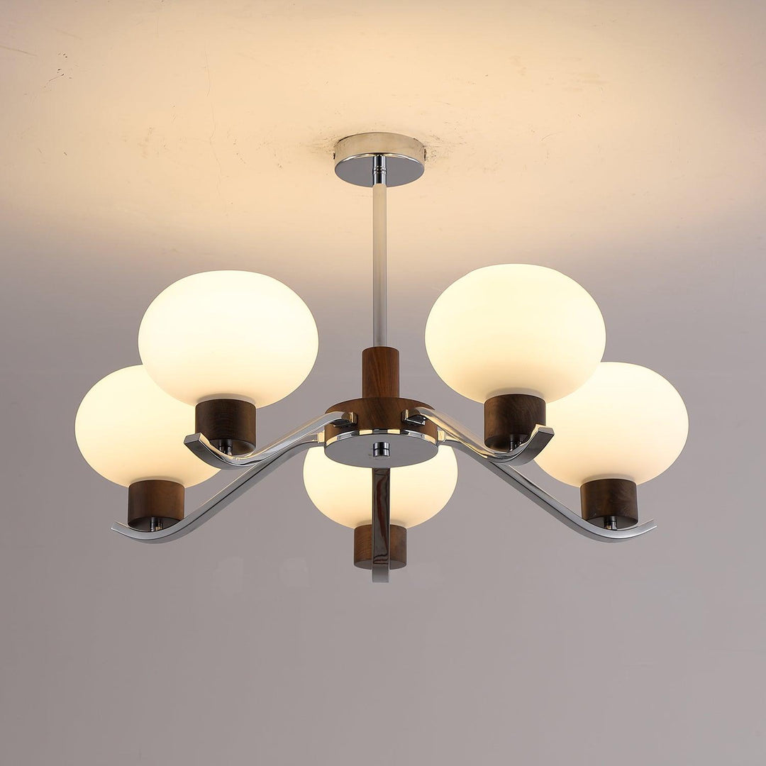 Colome Chandelier - Vakkerlight