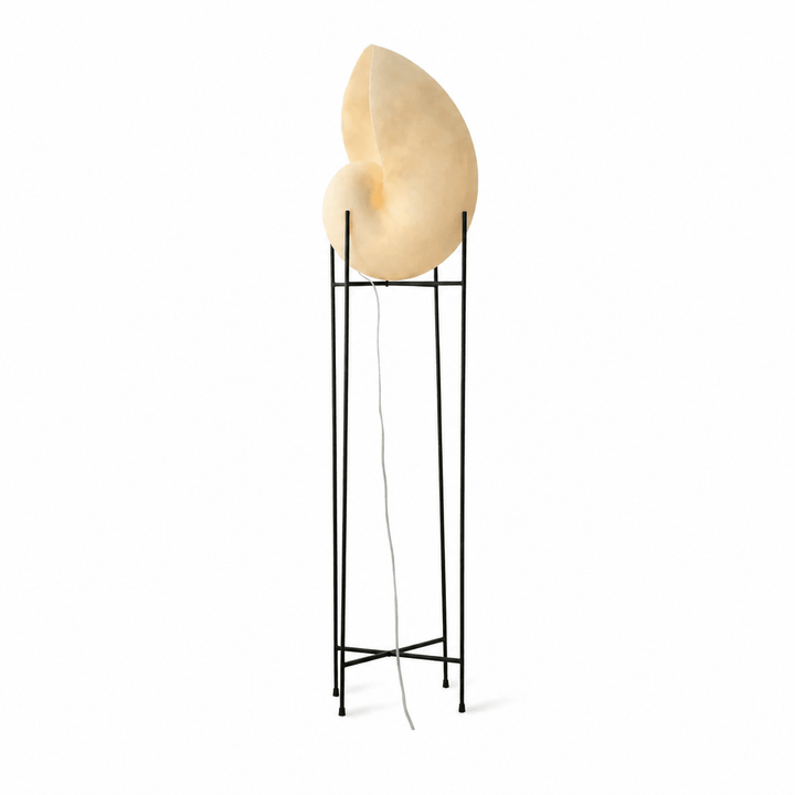 Conch Bloom Lamp - Vakkerlight