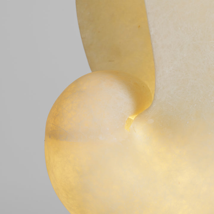 Lumora Shell Table Lamp - Vakkerlight