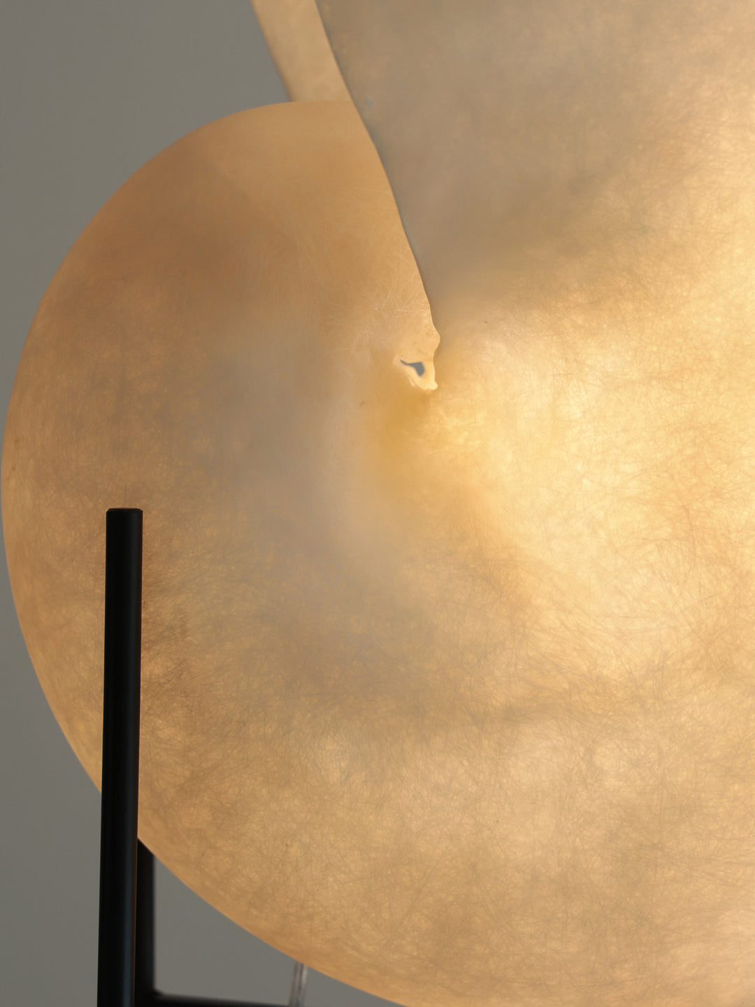 Conch Bloom Lamp - Vakkerlight