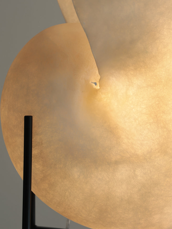 Conch Bloom Lamp - Vakkerlight