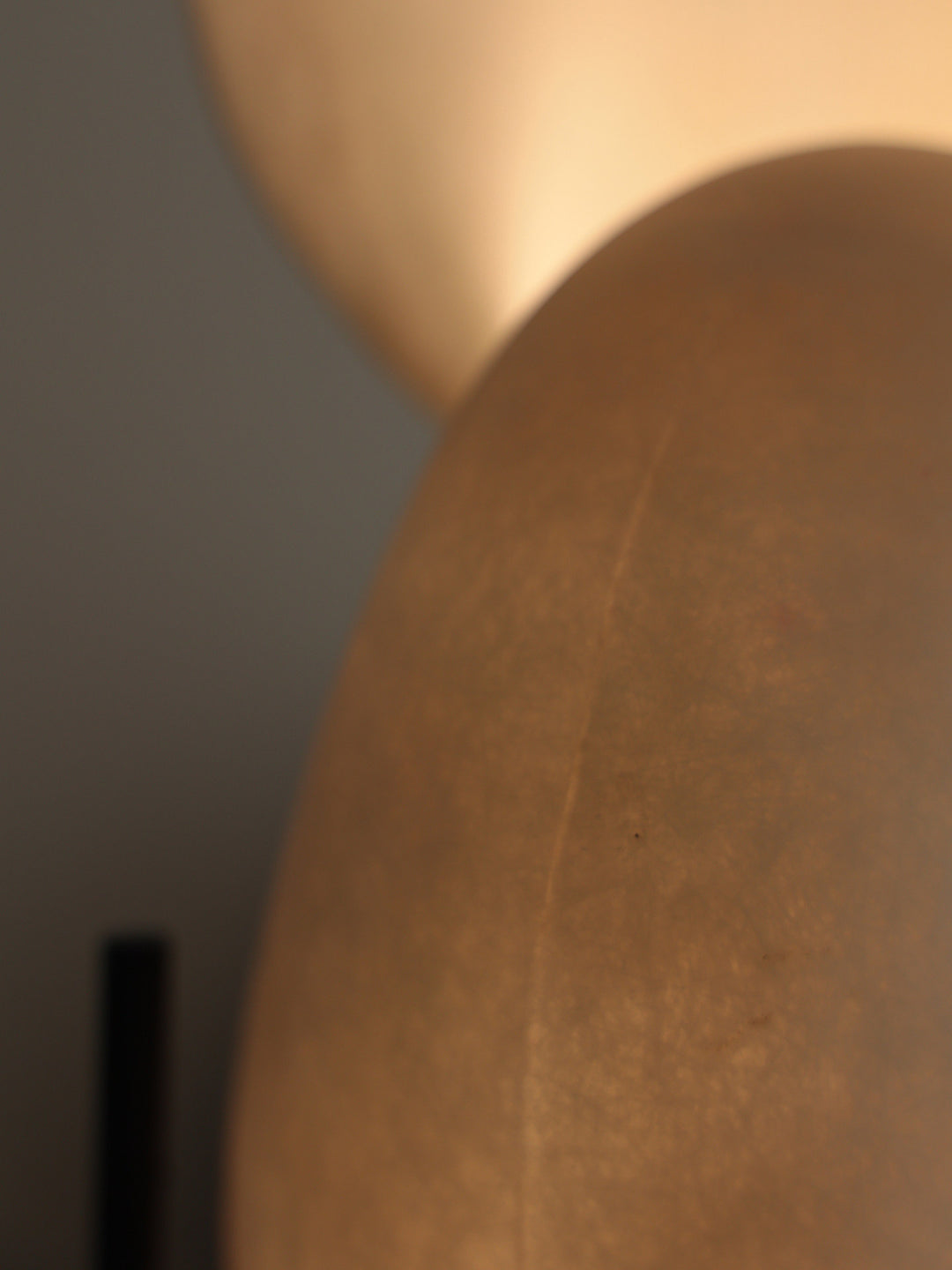 Conch Bloom Lamp - Vakkerlight