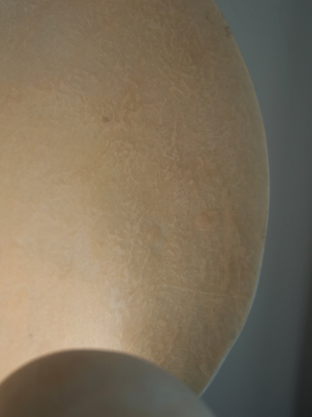 Conch Bloom Lamp - Vakkerlight