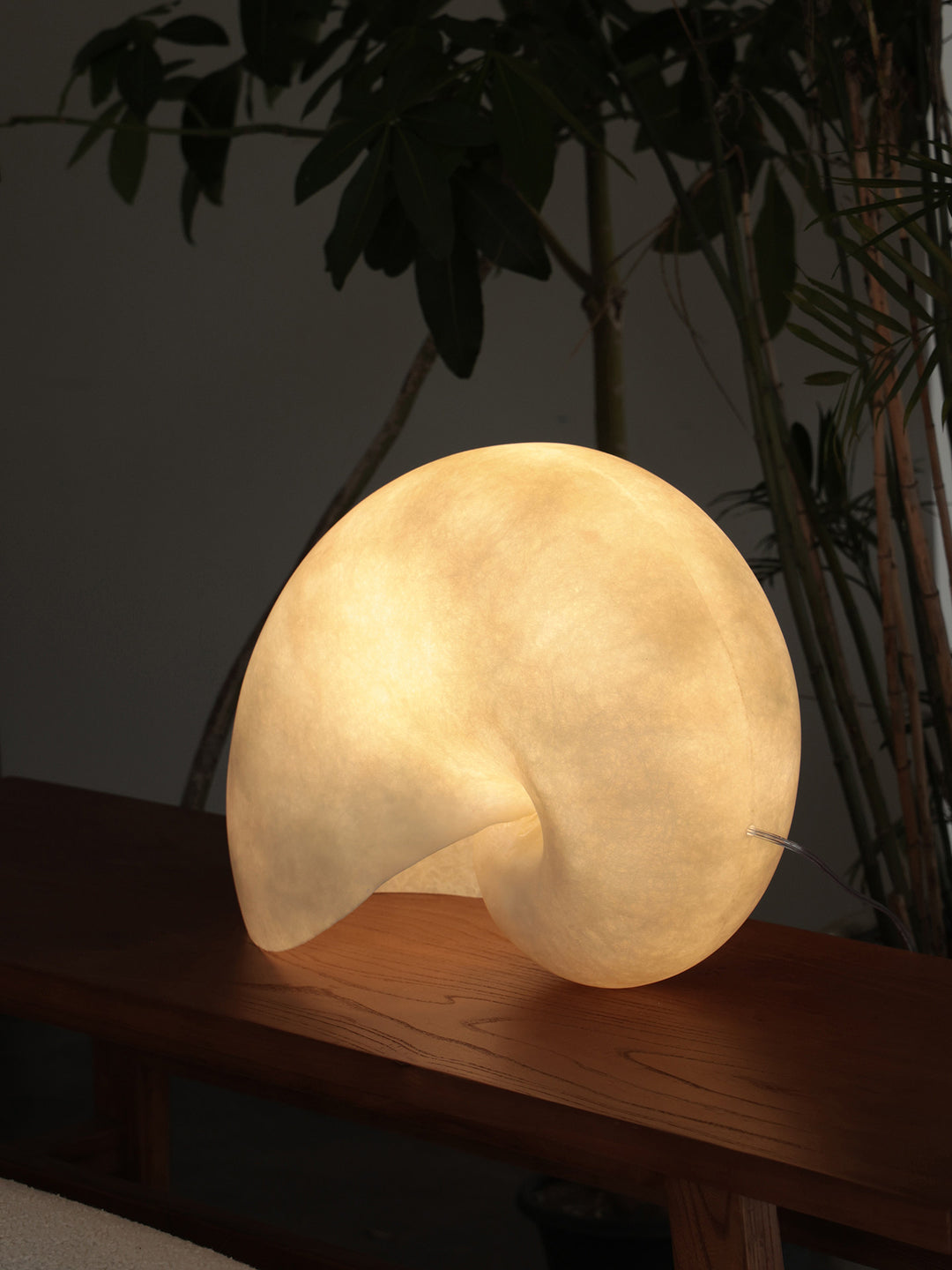 Conch Bloom Lamp - Vakkerlight