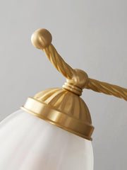 Curved Gooseneck Brass Glass Sconce - Vakkerlight