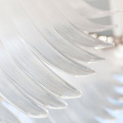 Bird Feather Wings Chandelier - Vakkerlight