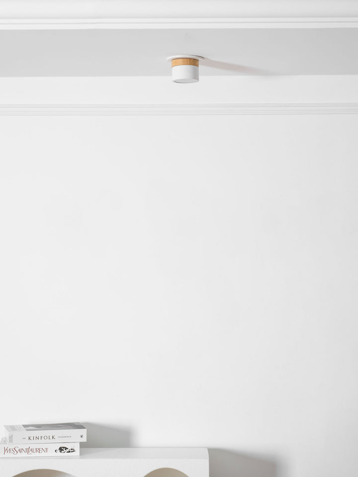 Alva Wooden Surface Downlight