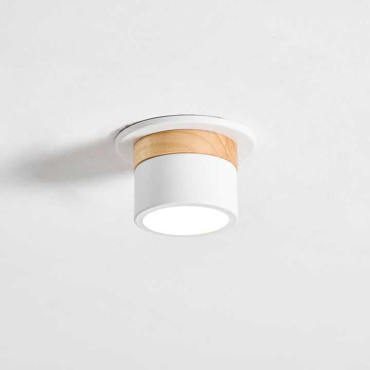 Alva Wooden Surface Downlight