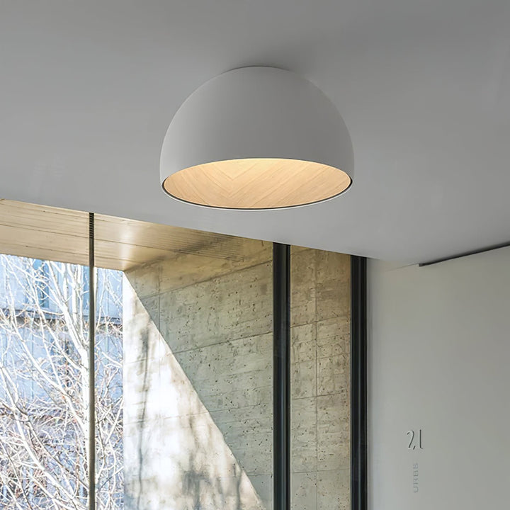 Duo Ceiling Lamp - Vakkerlight