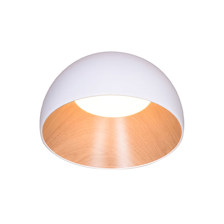 Duo Ceiling Lamp - Vakkerlight