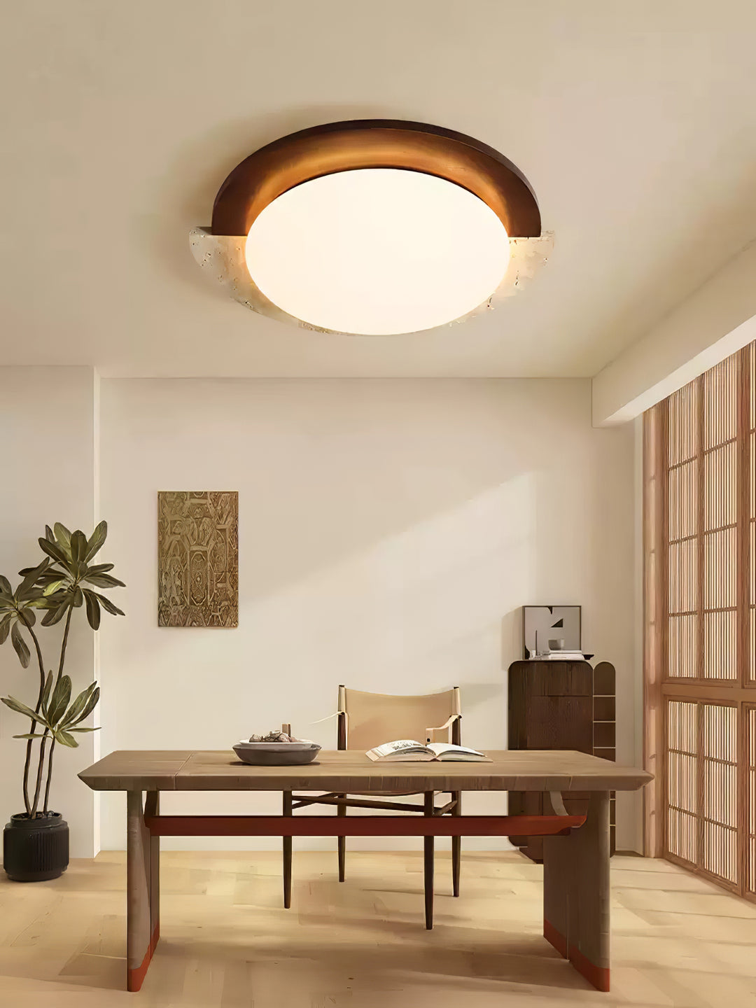 Eclipse Halo Ceiling Lamp