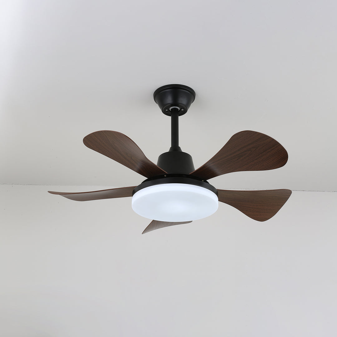 Eliza Ceiling Fan Light - Vakkerlight