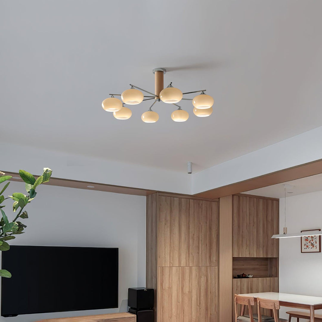 Elliptical Persimmon Chandelier - Vakkerlight