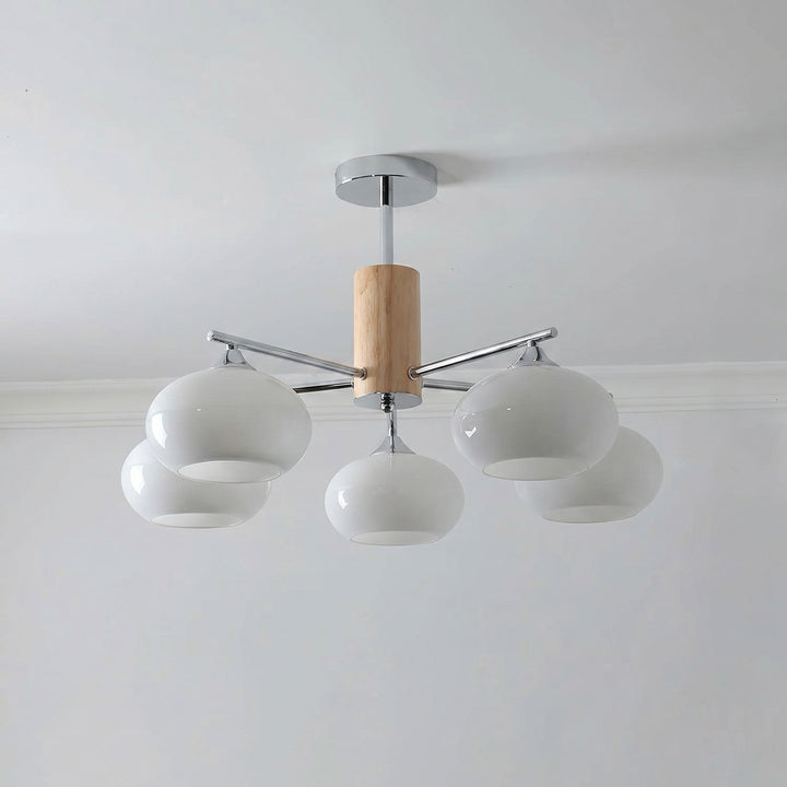 Elliptical Persimmon Chandelier - Vakkerlight