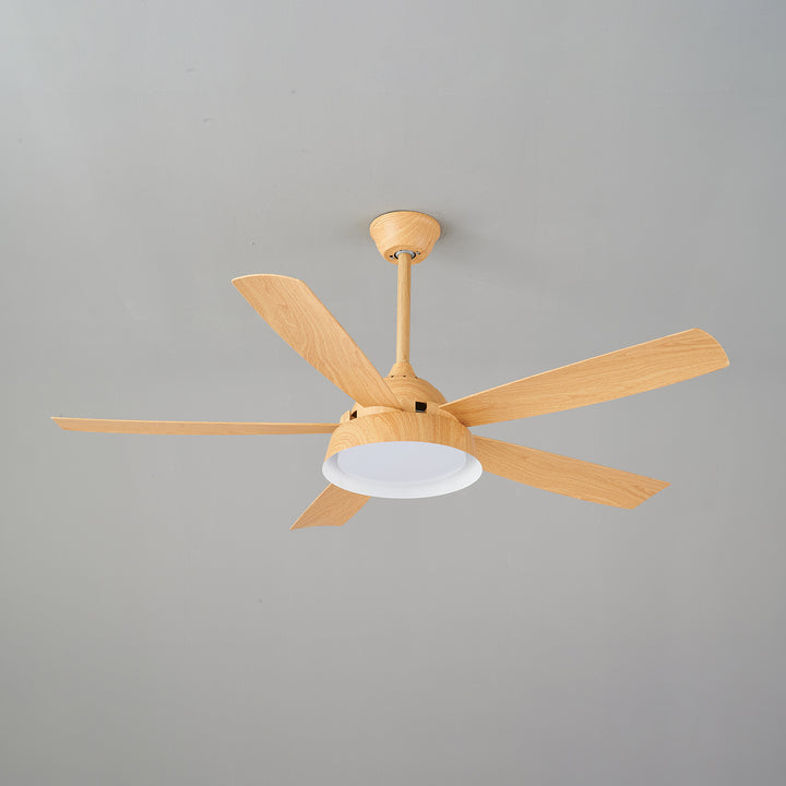 Elysian Ceiling Fan Light - Vakkerlight