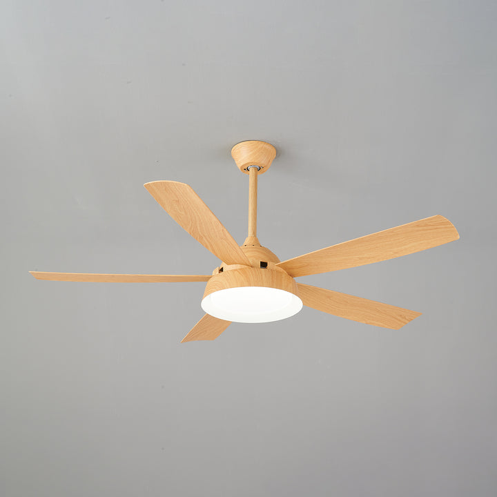 Elysian Ceiling Fan Light - Vakkerlight