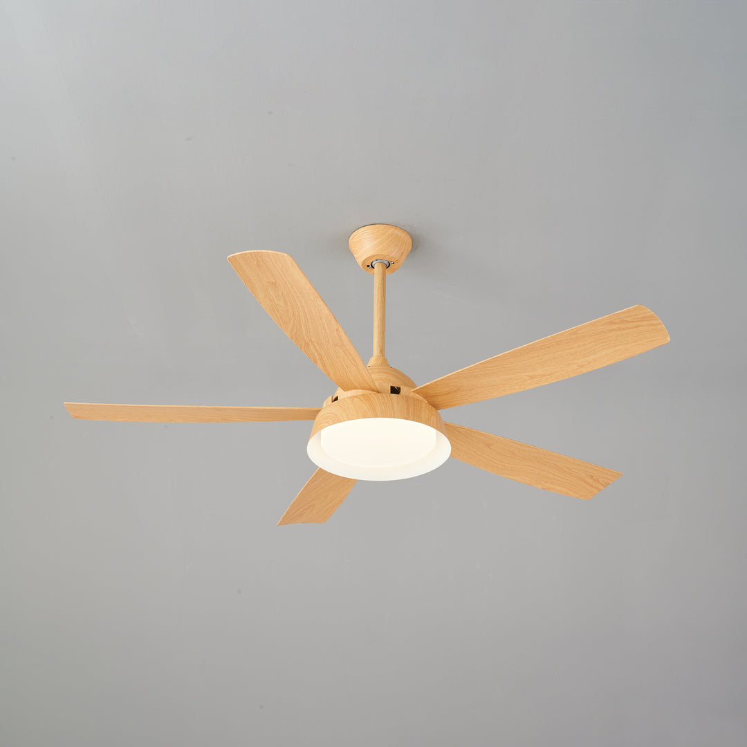 Elysian Ceiling Fan Light - Vakkerlight