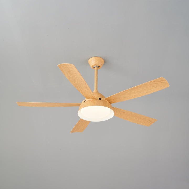 Elysian Ceiling Fan Light - Vakkerlight