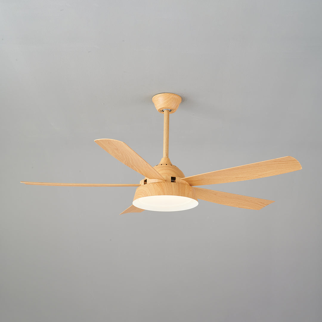 Elysian Ceiling Fan Light - Vakkerlight