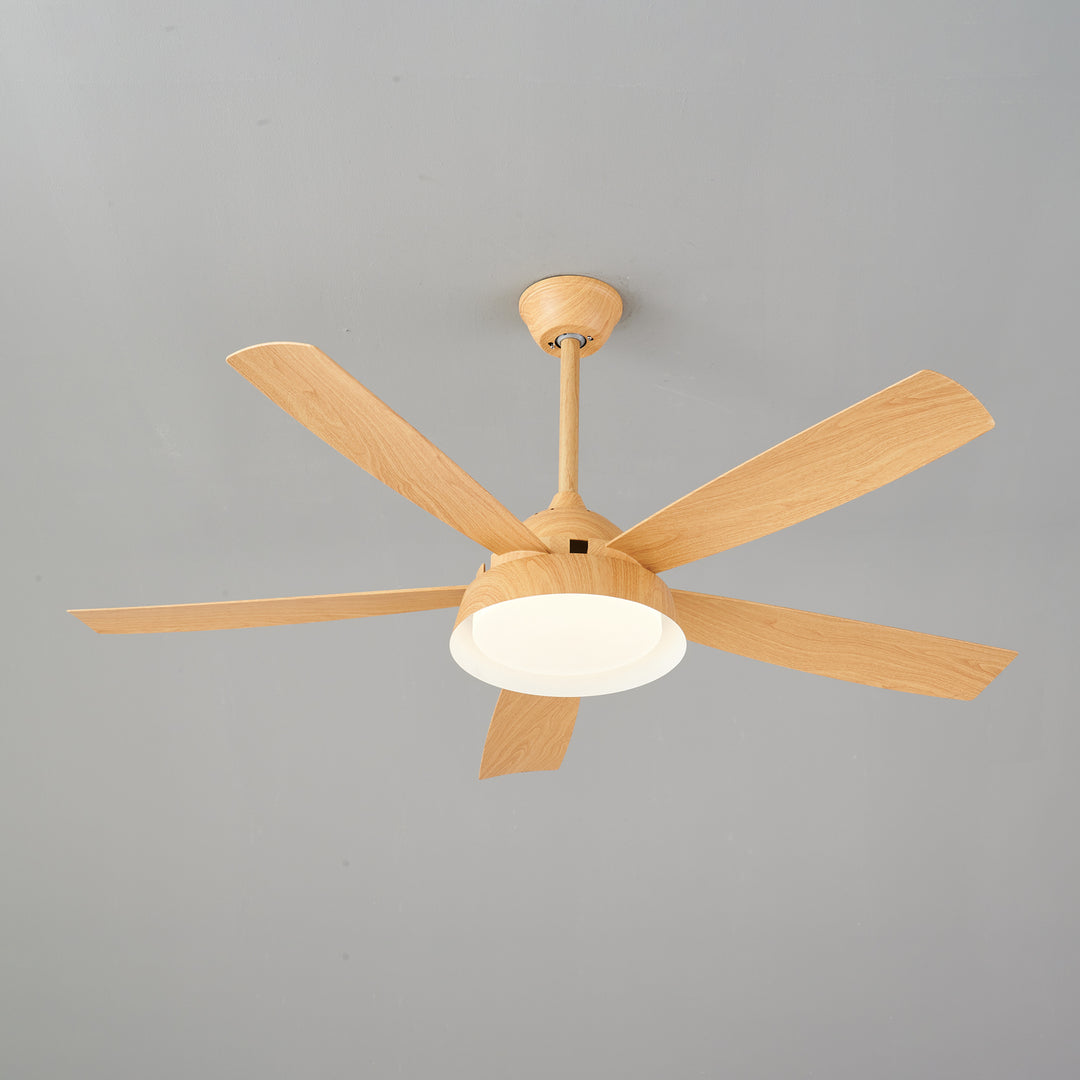 Elysian Ceiling Fan Light - Vakkerlight