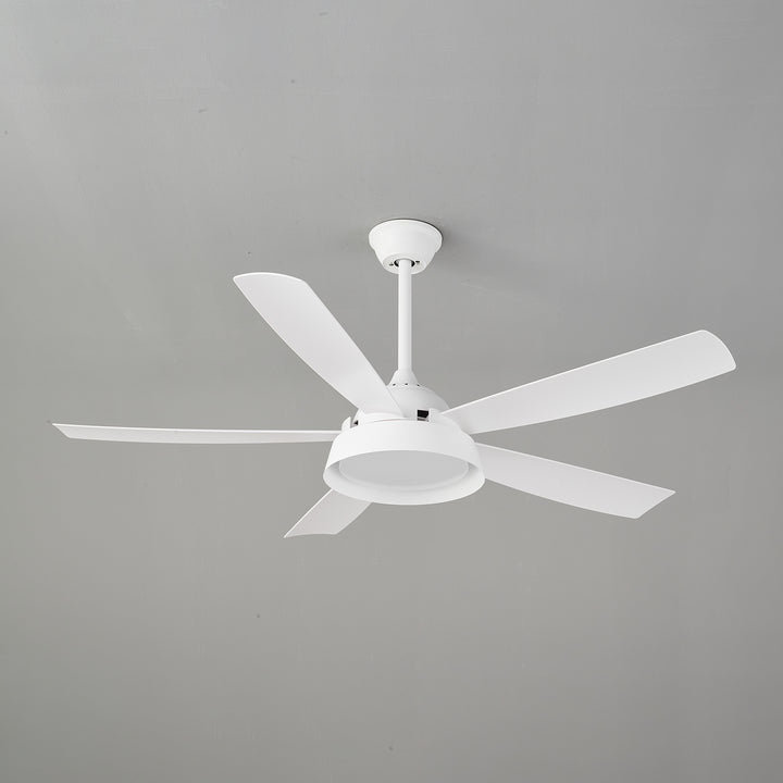 Elysian Ceiling Fan Light - Vakkerlight