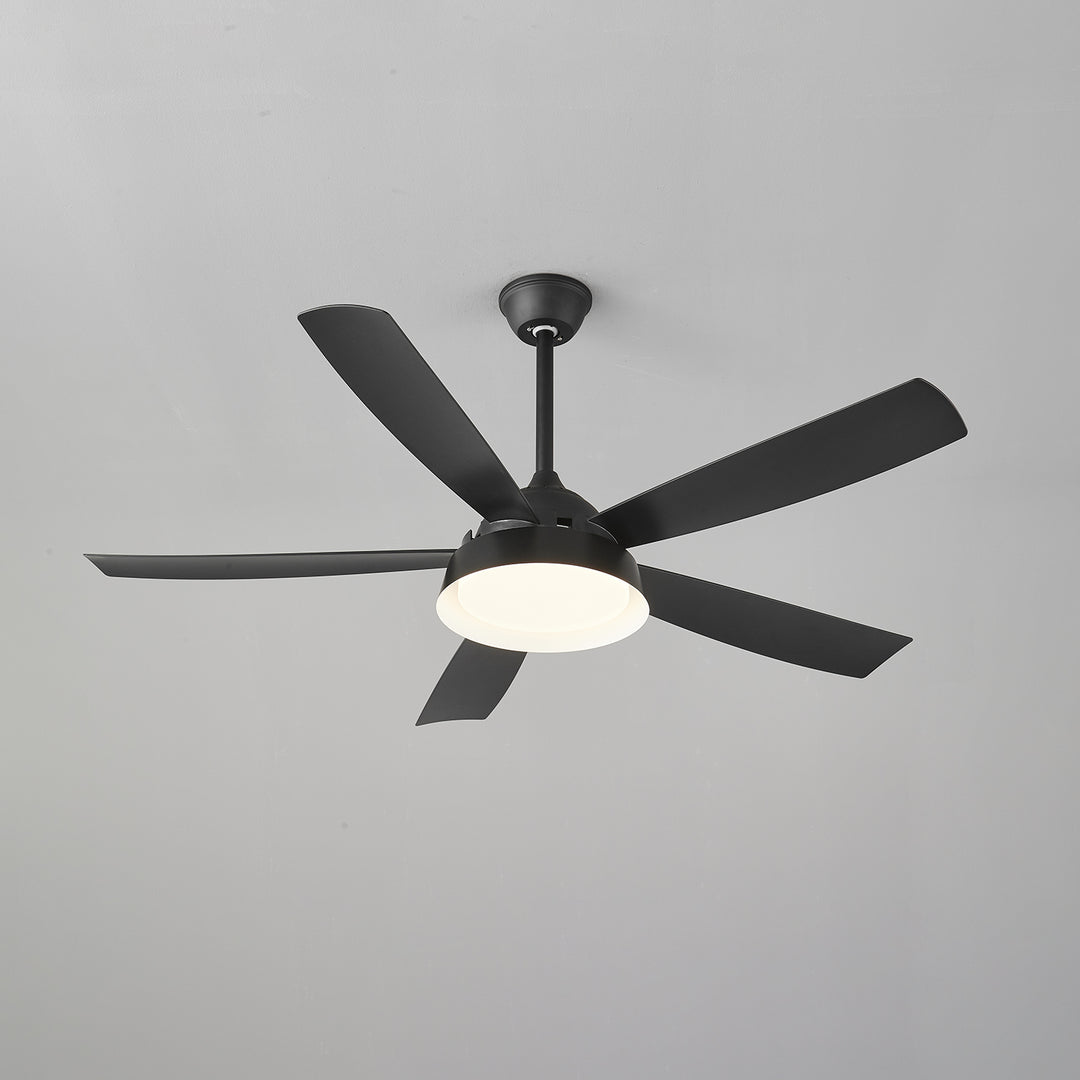 Elysian Ceiling Fan Light - Vakkerlight