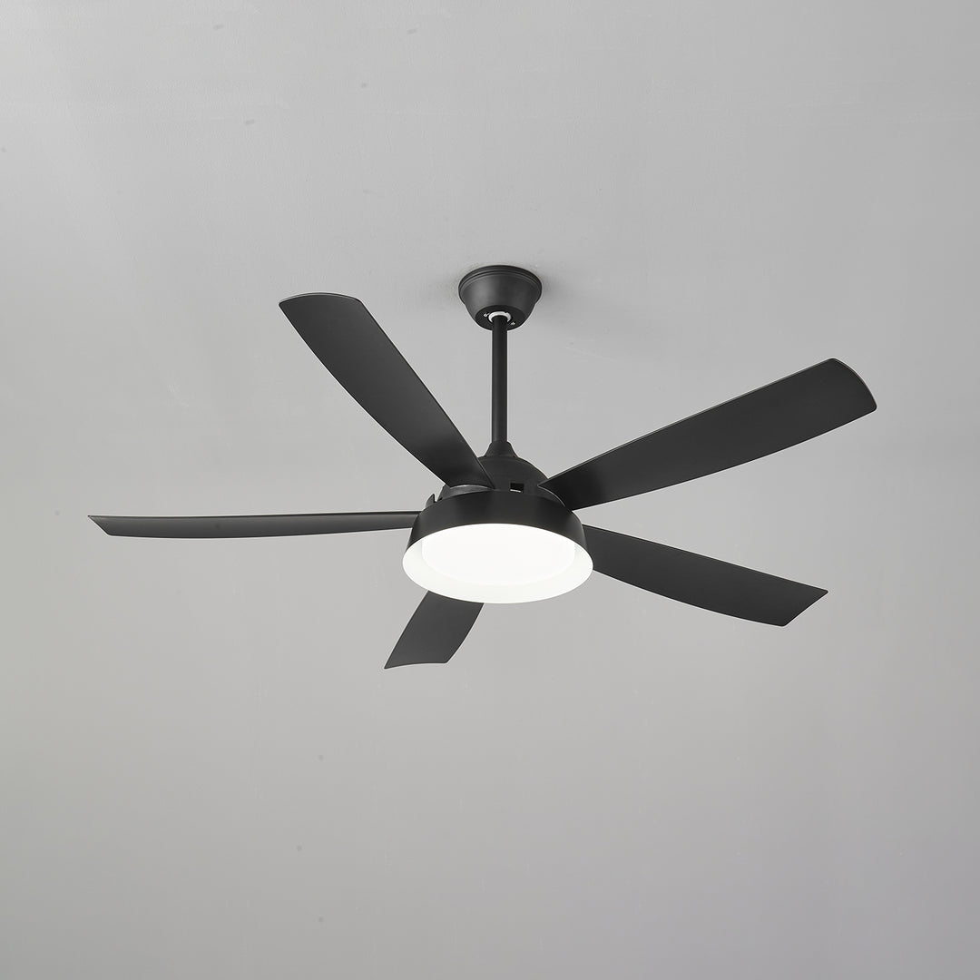 Elysian Ceiling Fan Light - Vakkerlight