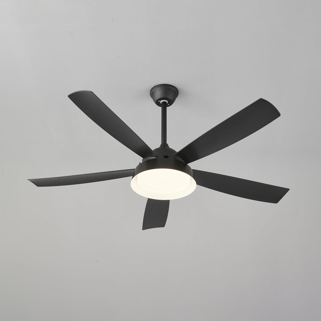 Elysian Ceiling Fan Light - Vakkerlight