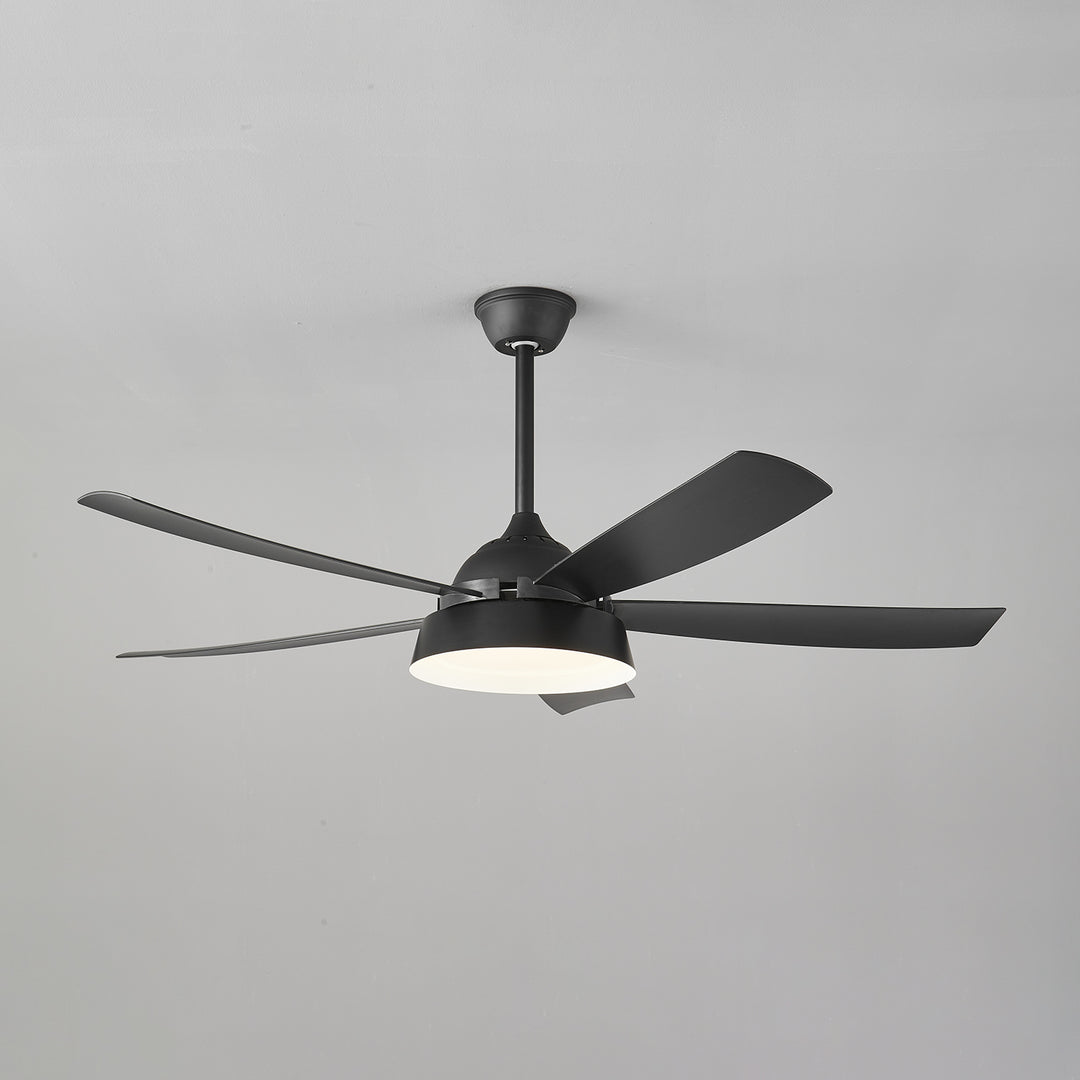 Elysian Ceiling Fan Light - Vakkerlight