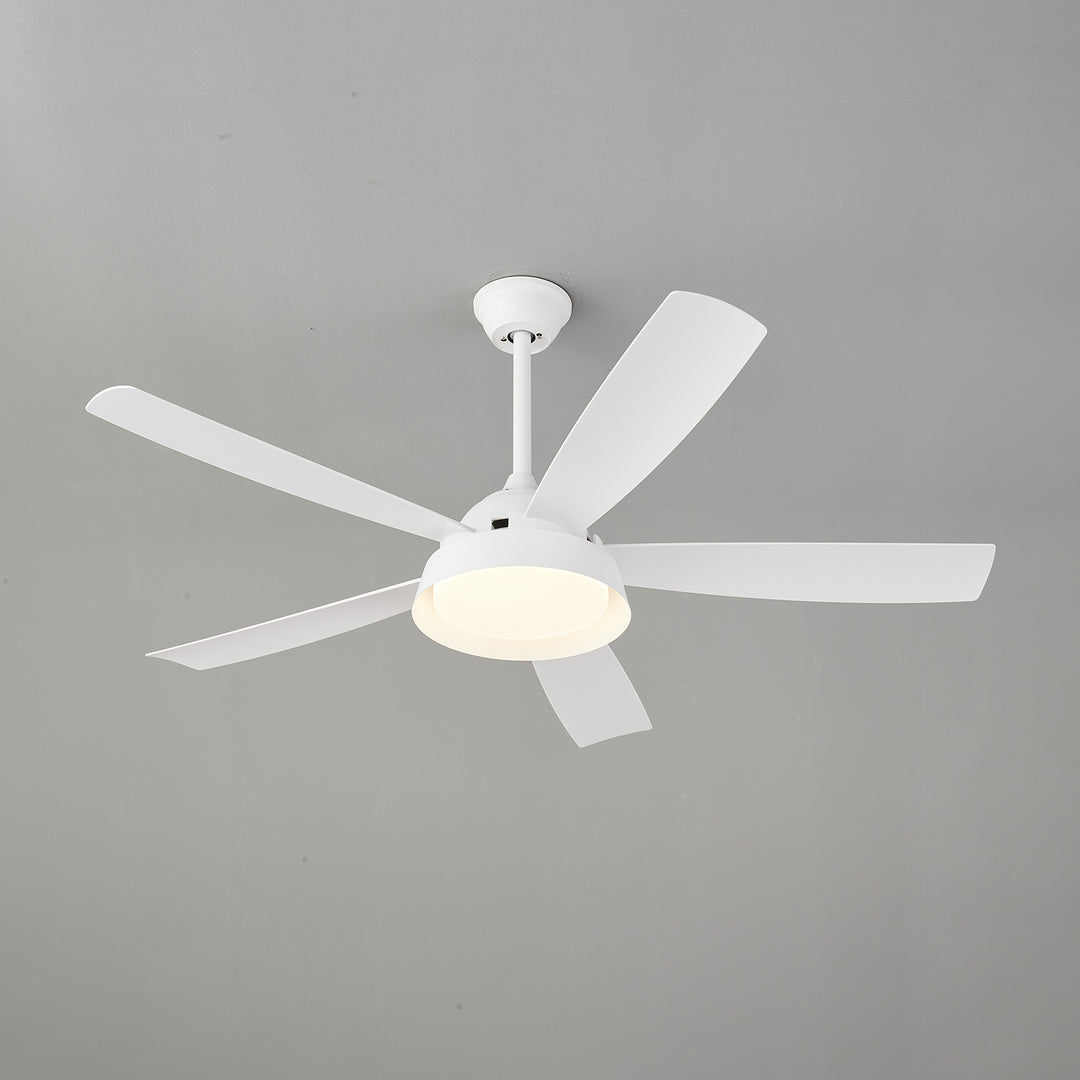 Elysian Ceiling Fan Light - Vakkerlight