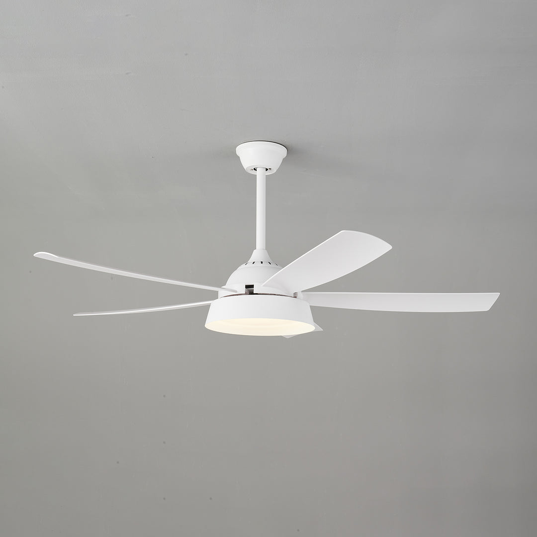 Elysian Ceiling Fan Light - Vakkerlight