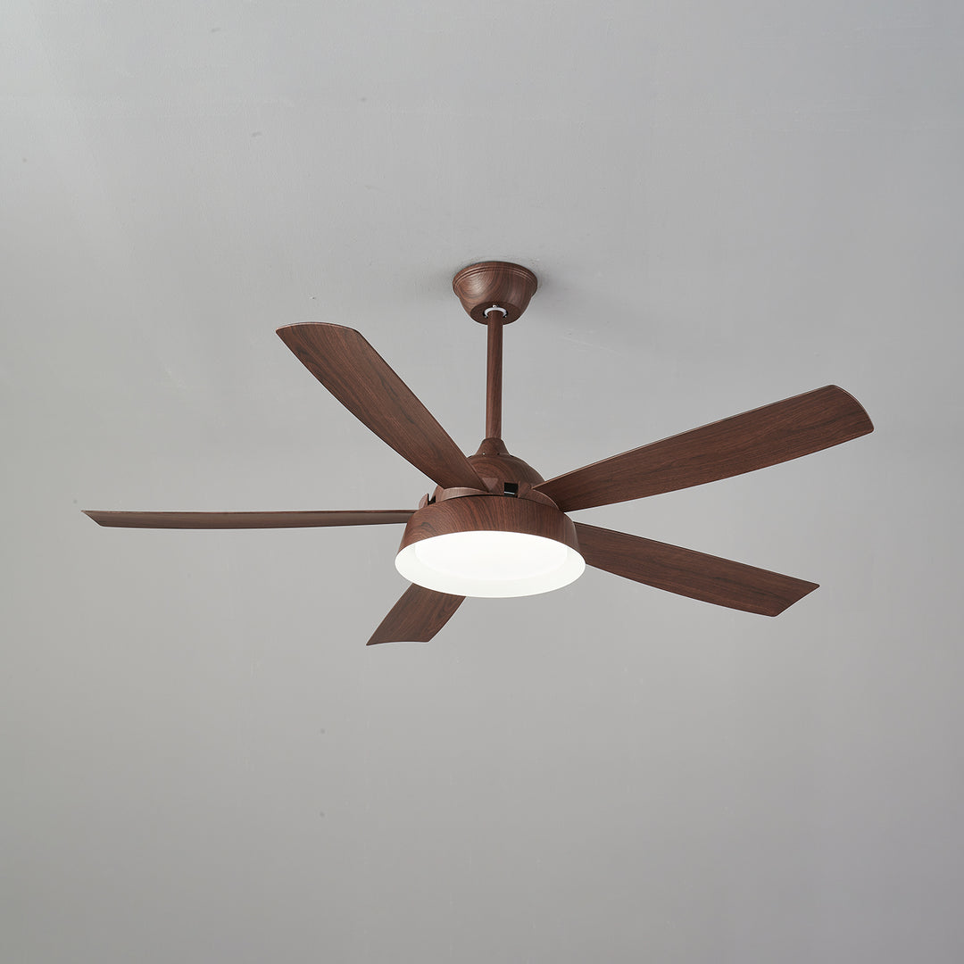 Elysian Ceiling Fan Light - Vakkerlight