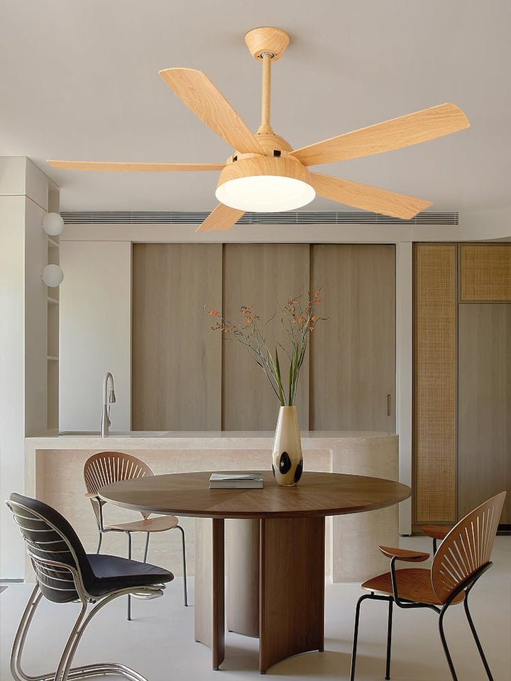 Elysian Ceiling Fan Light - Vakkerlight