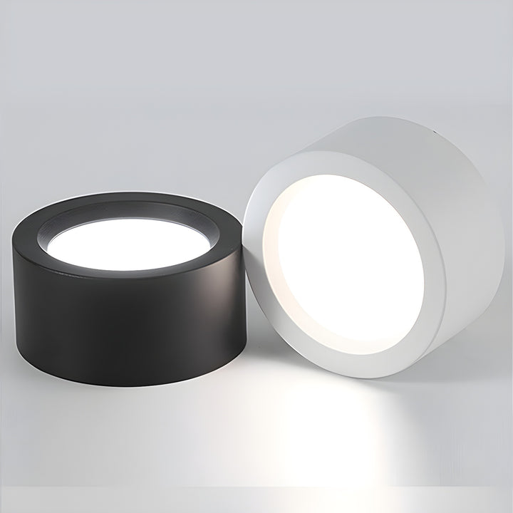 Ethan Surface Ceiling Light - Vakkerlight